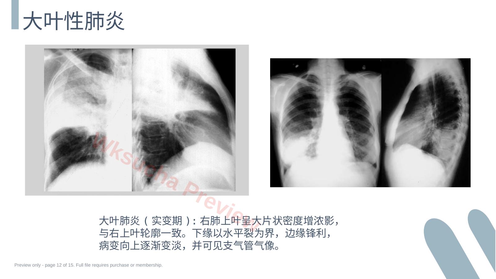预览第 12 页