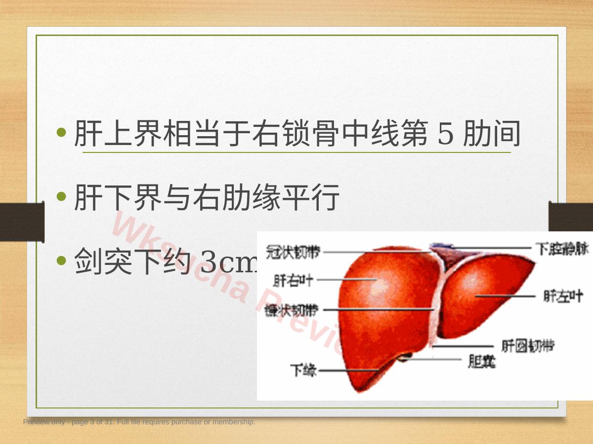 预览第 3 页