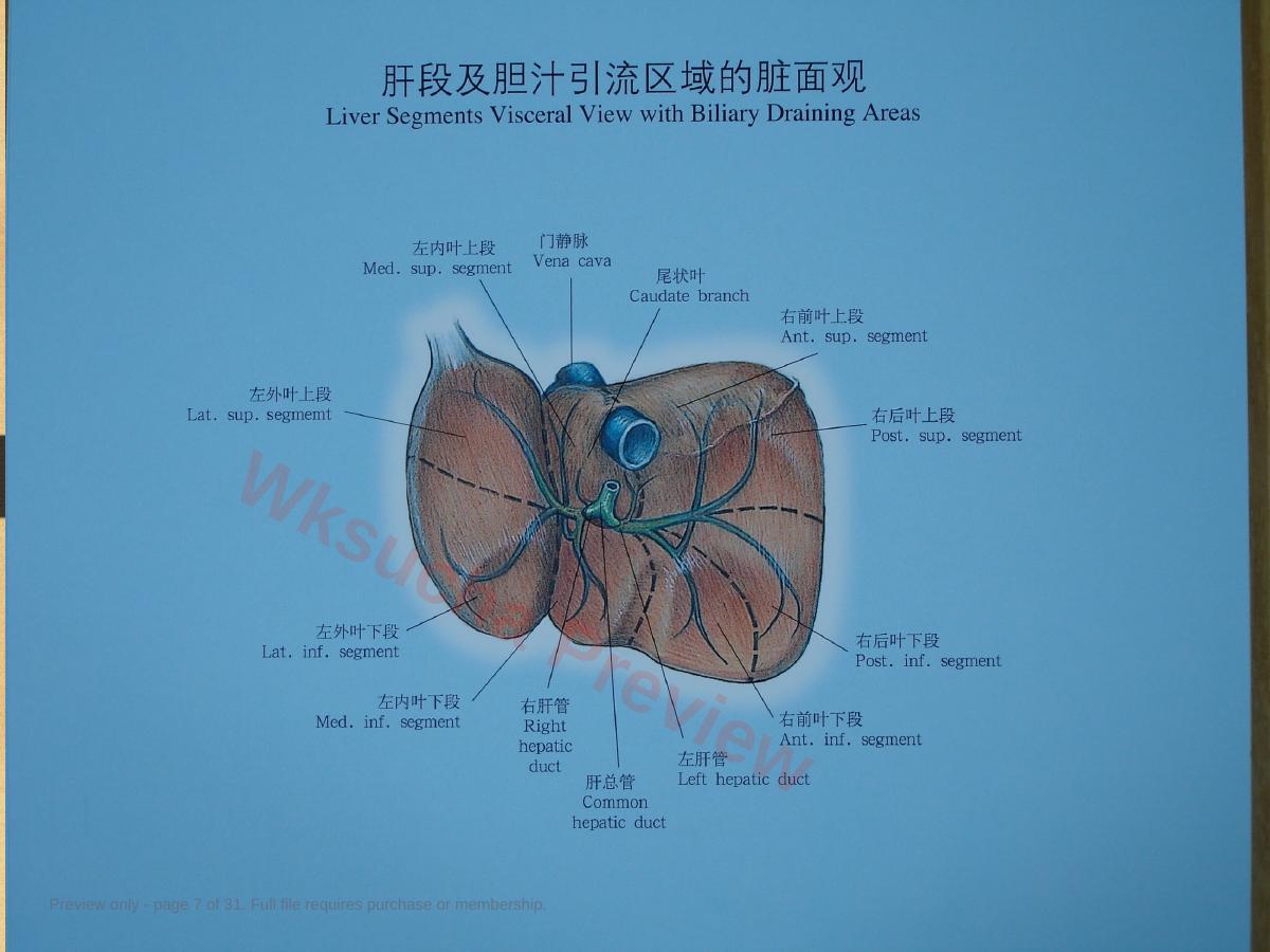 预览第 7 页