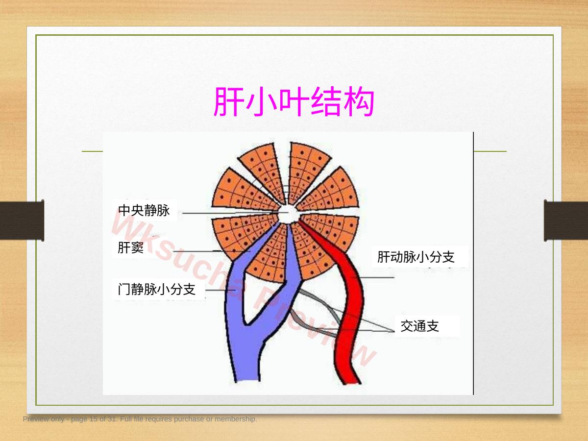 预览第 15 页