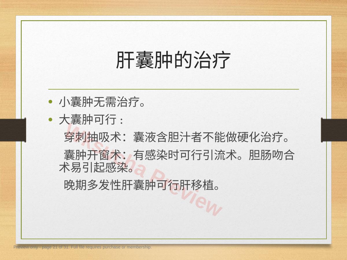 预览第 21 页