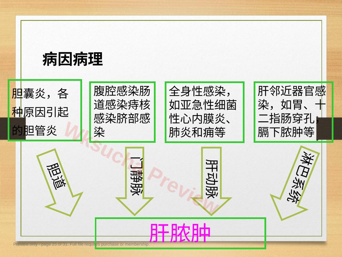 预览第 25 页