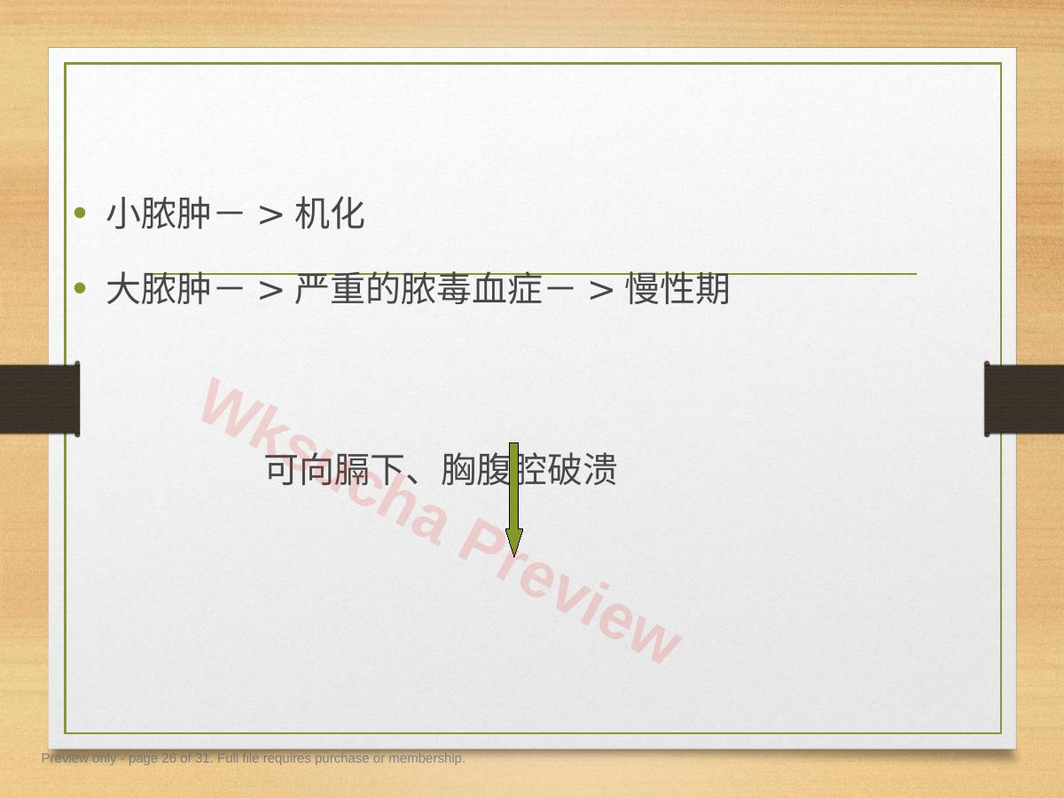 预览第 26 页
