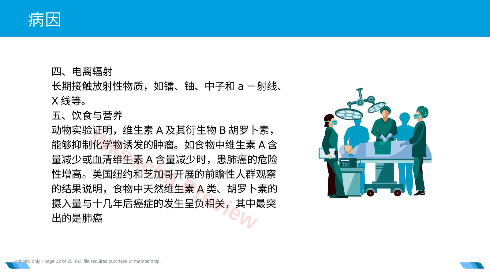 预览第 12 页