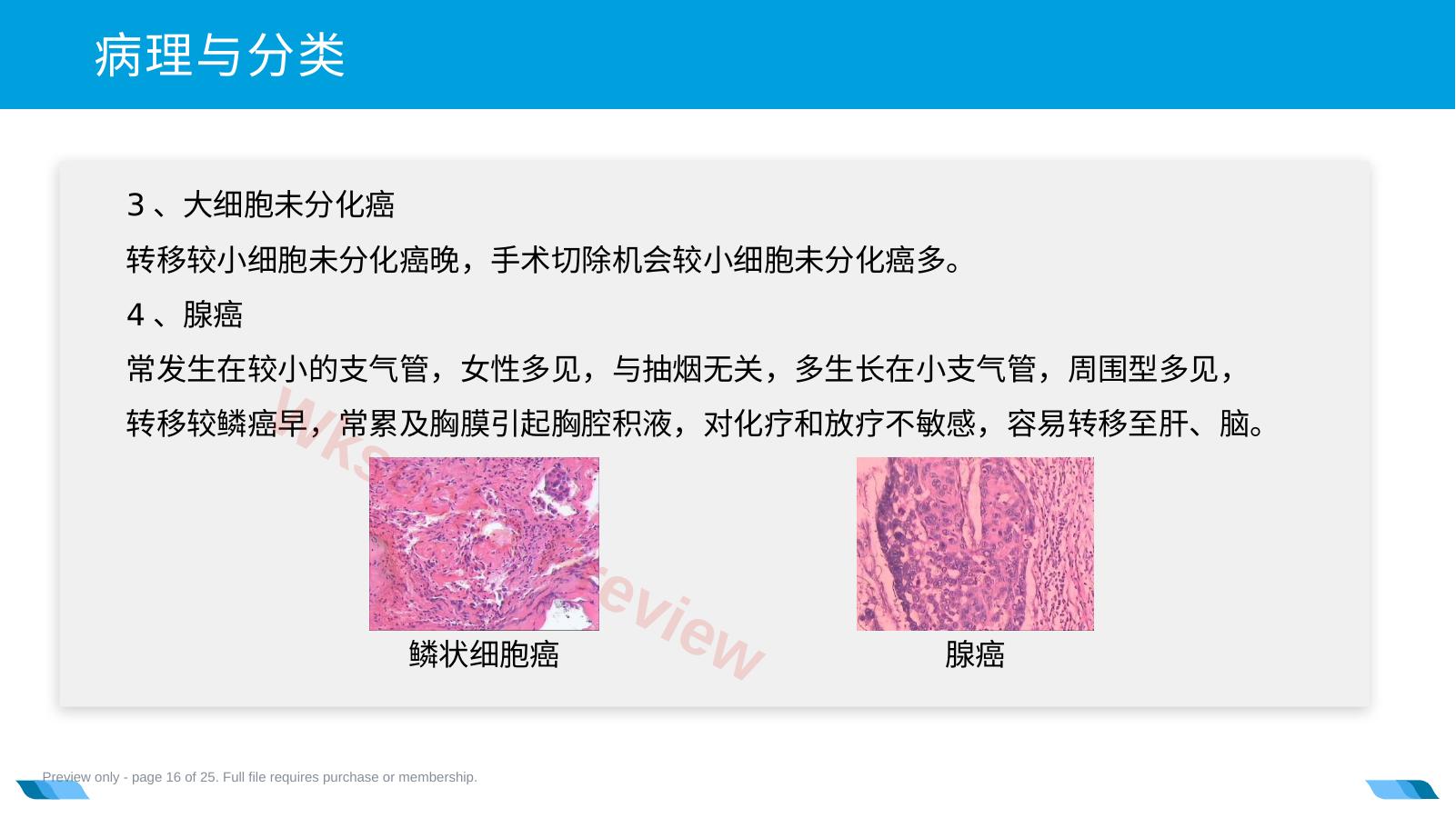预览第 16 页