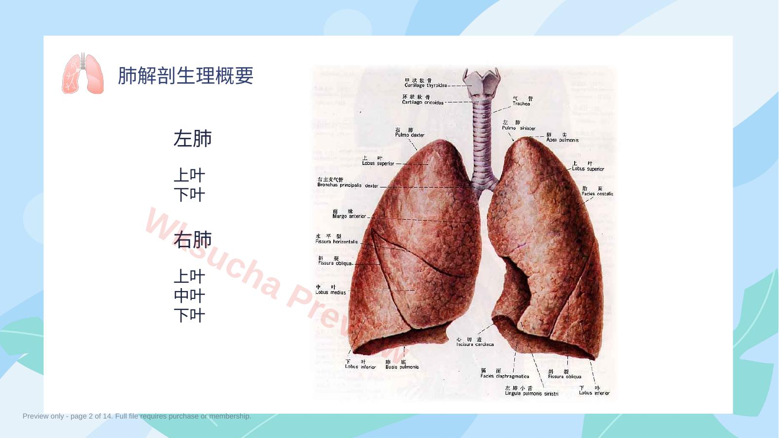 预览第 2 页