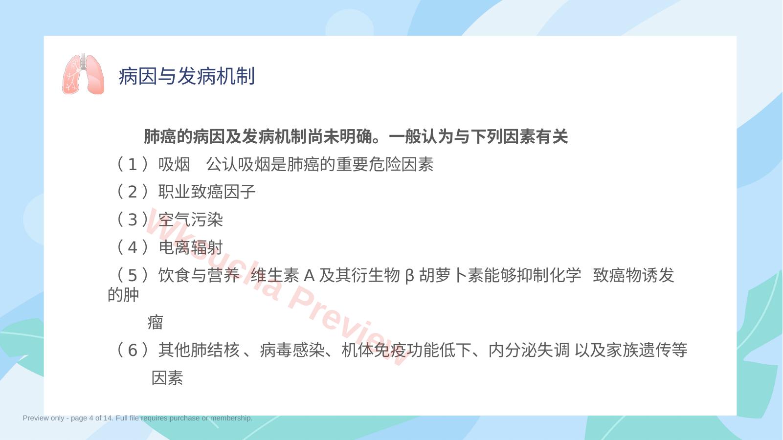 预览第 4 页