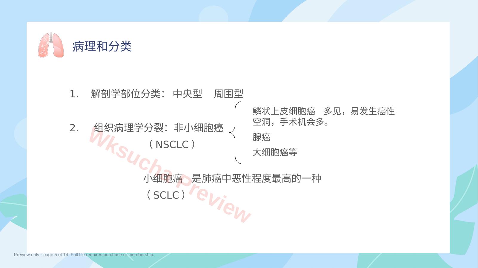 预览第 5 页