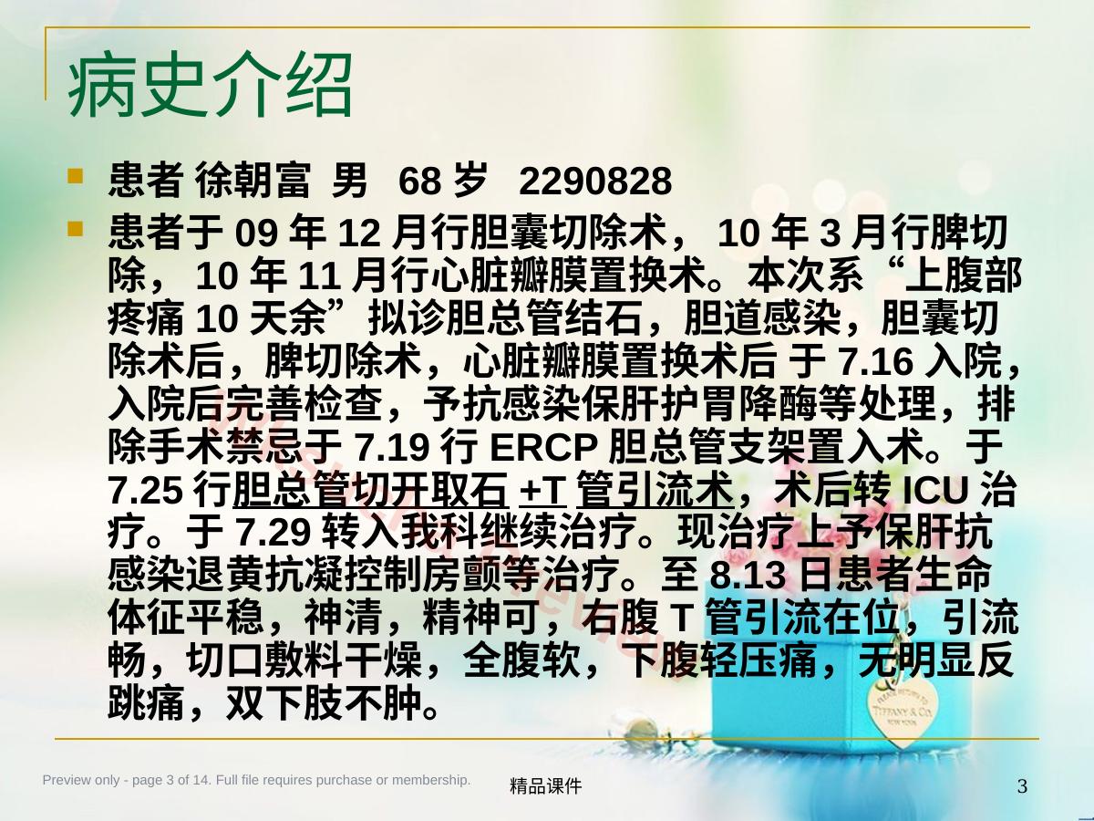 预览第 3 页