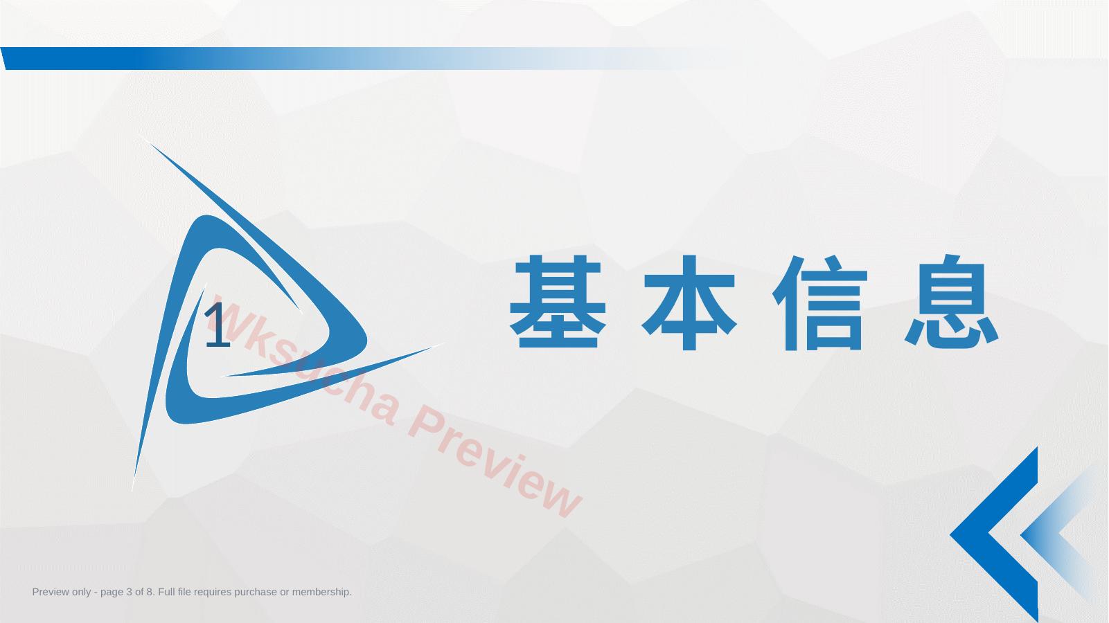 预览第 3 页