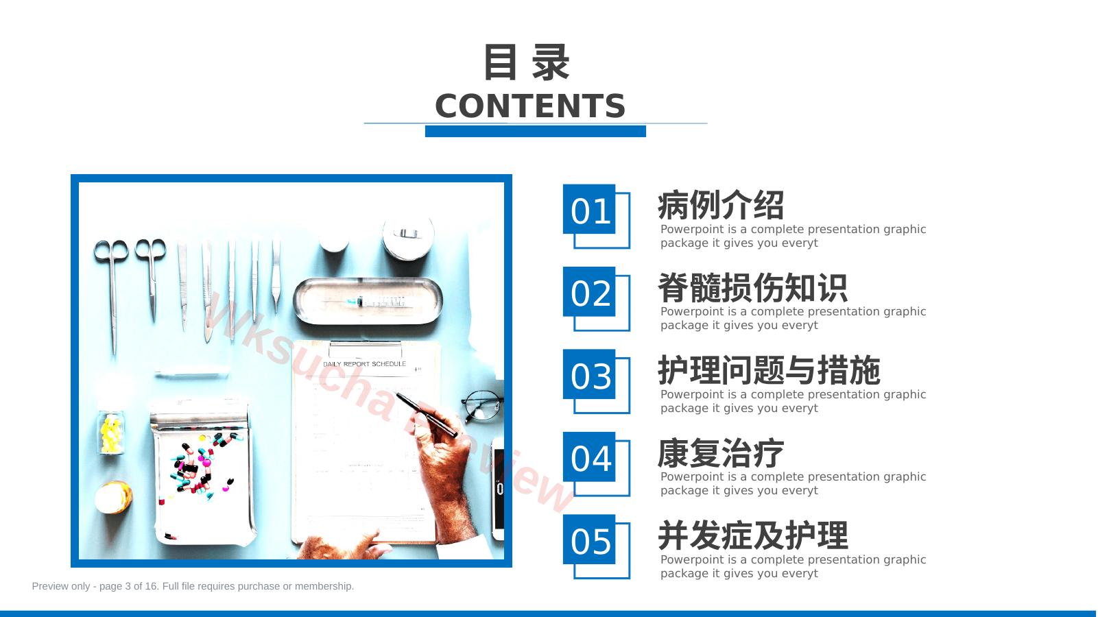 预览第 3 页