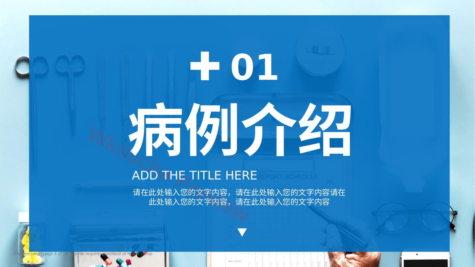 预览第 4 页