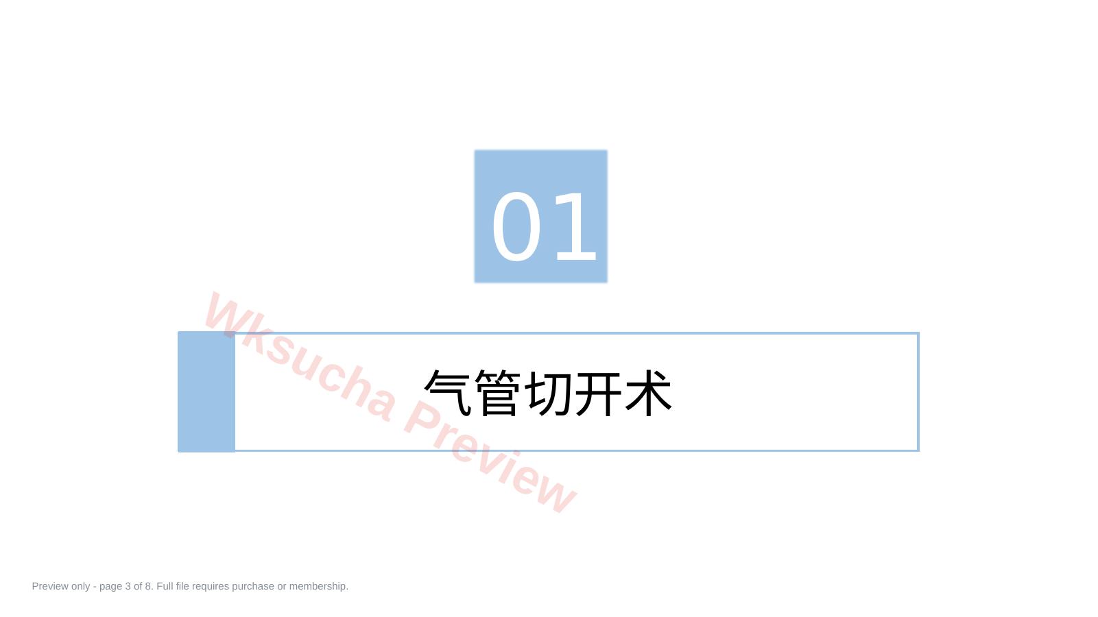 预览第 3 页