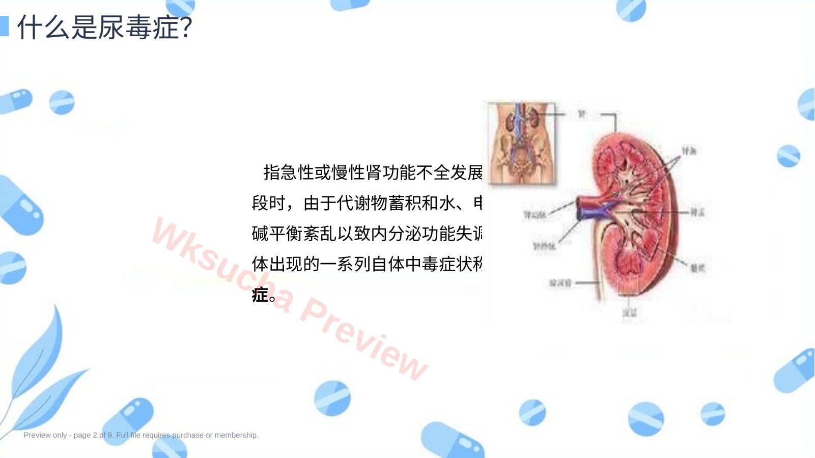 预览第 2 页