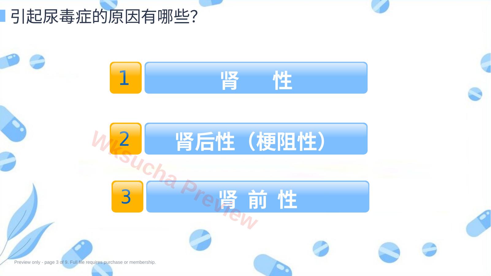 预览第 3 页