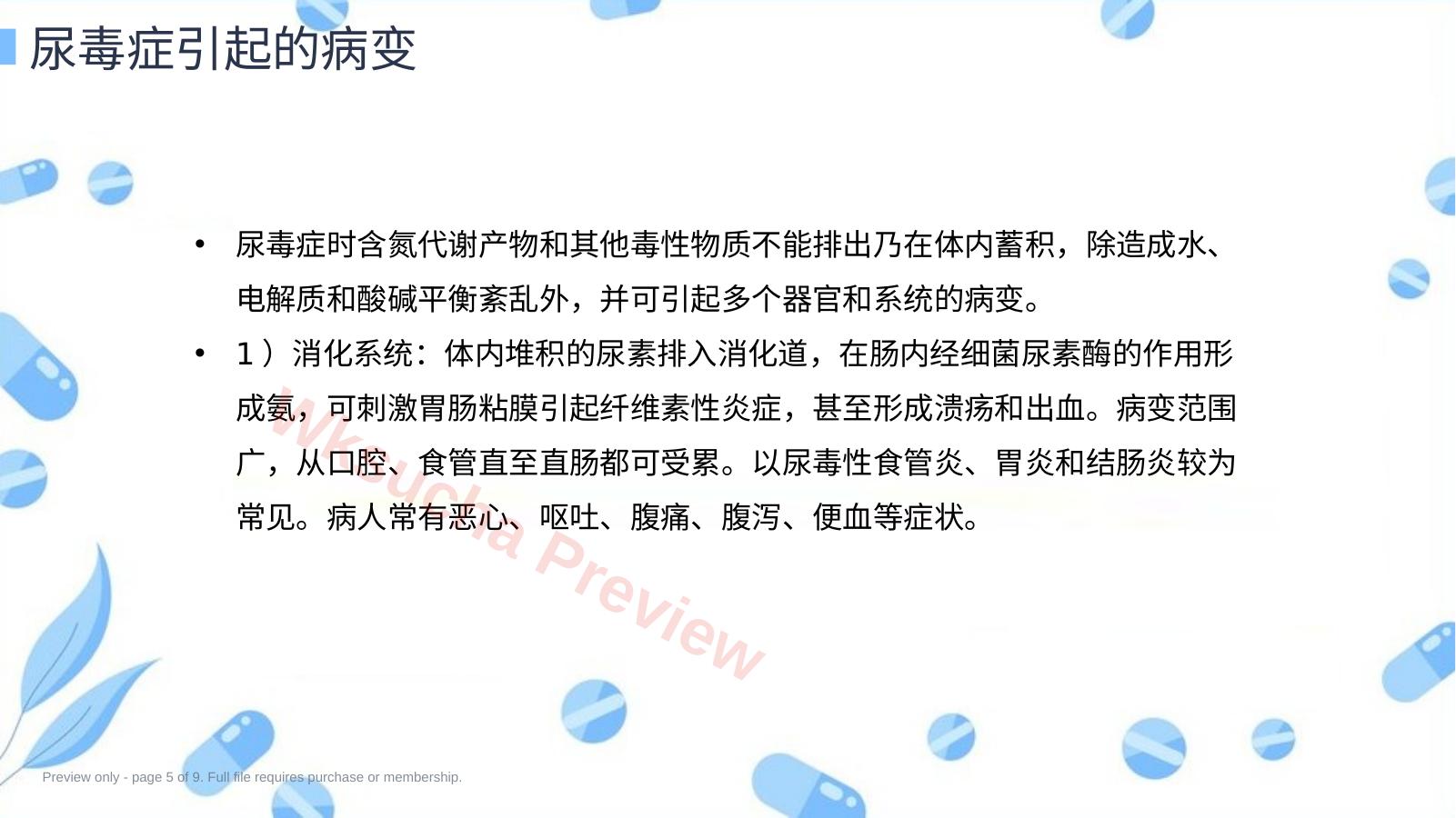 预览第 5 页