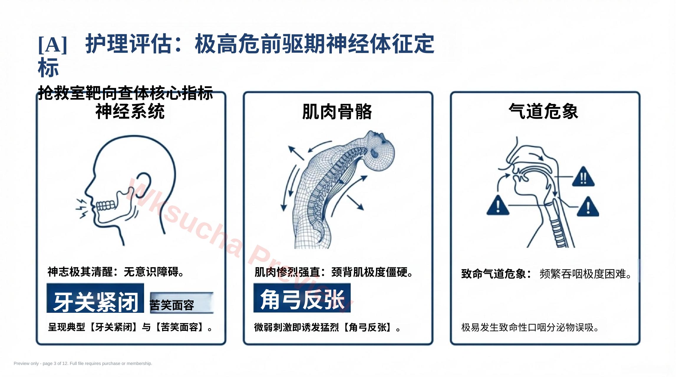 预览第 3 页