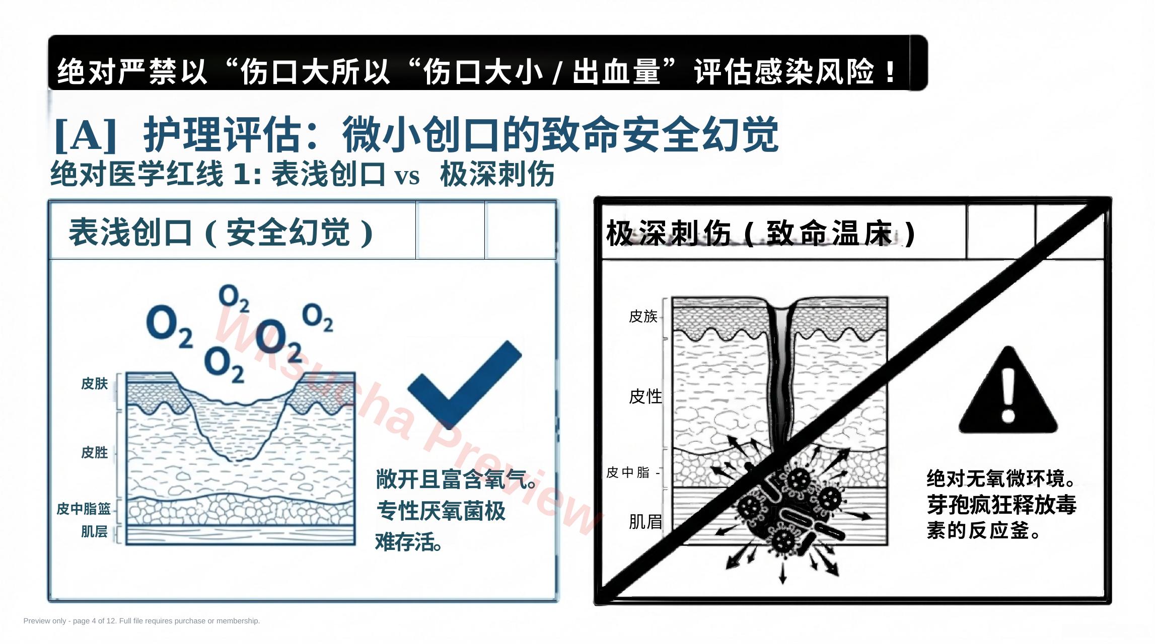 预览第 4 页
