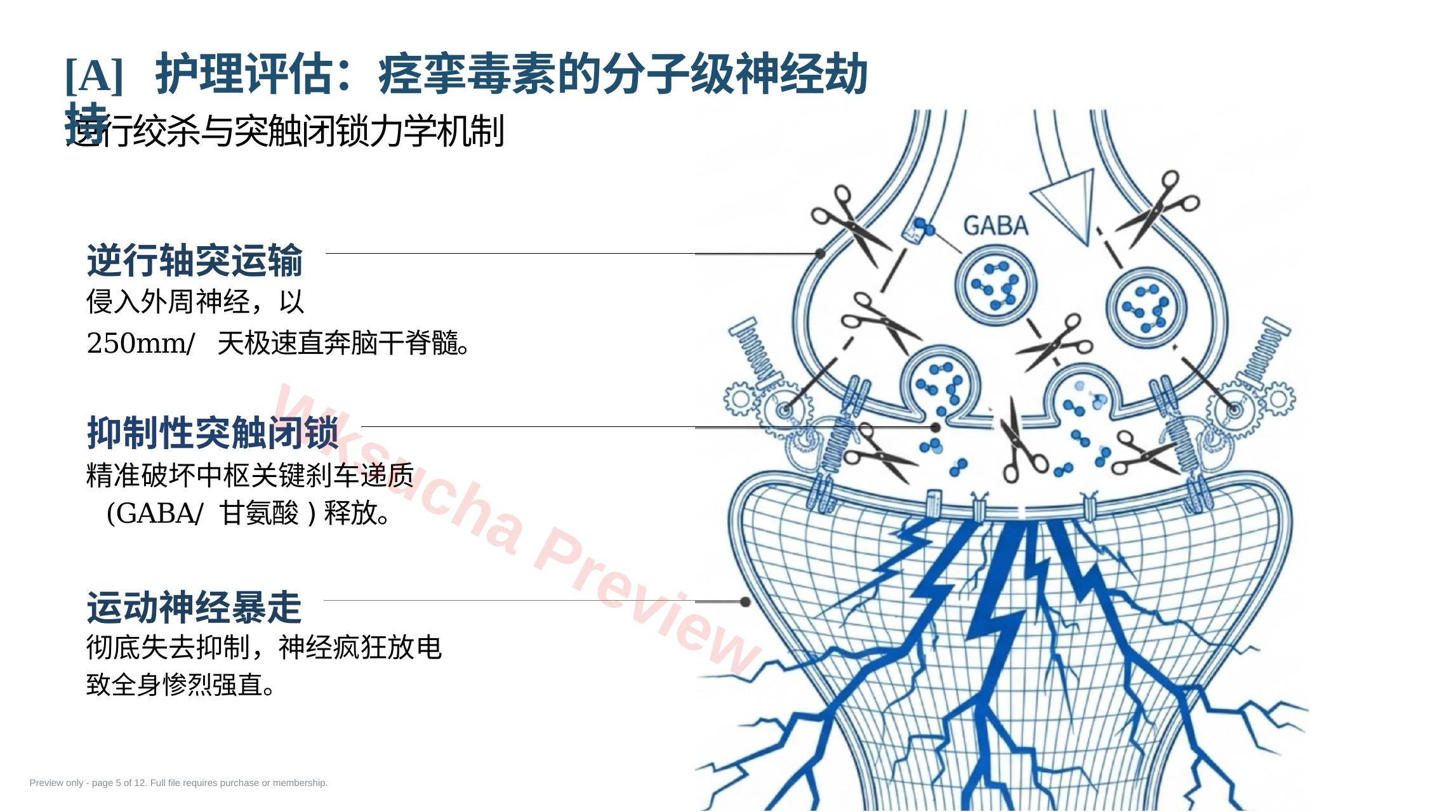 预览第 5 页