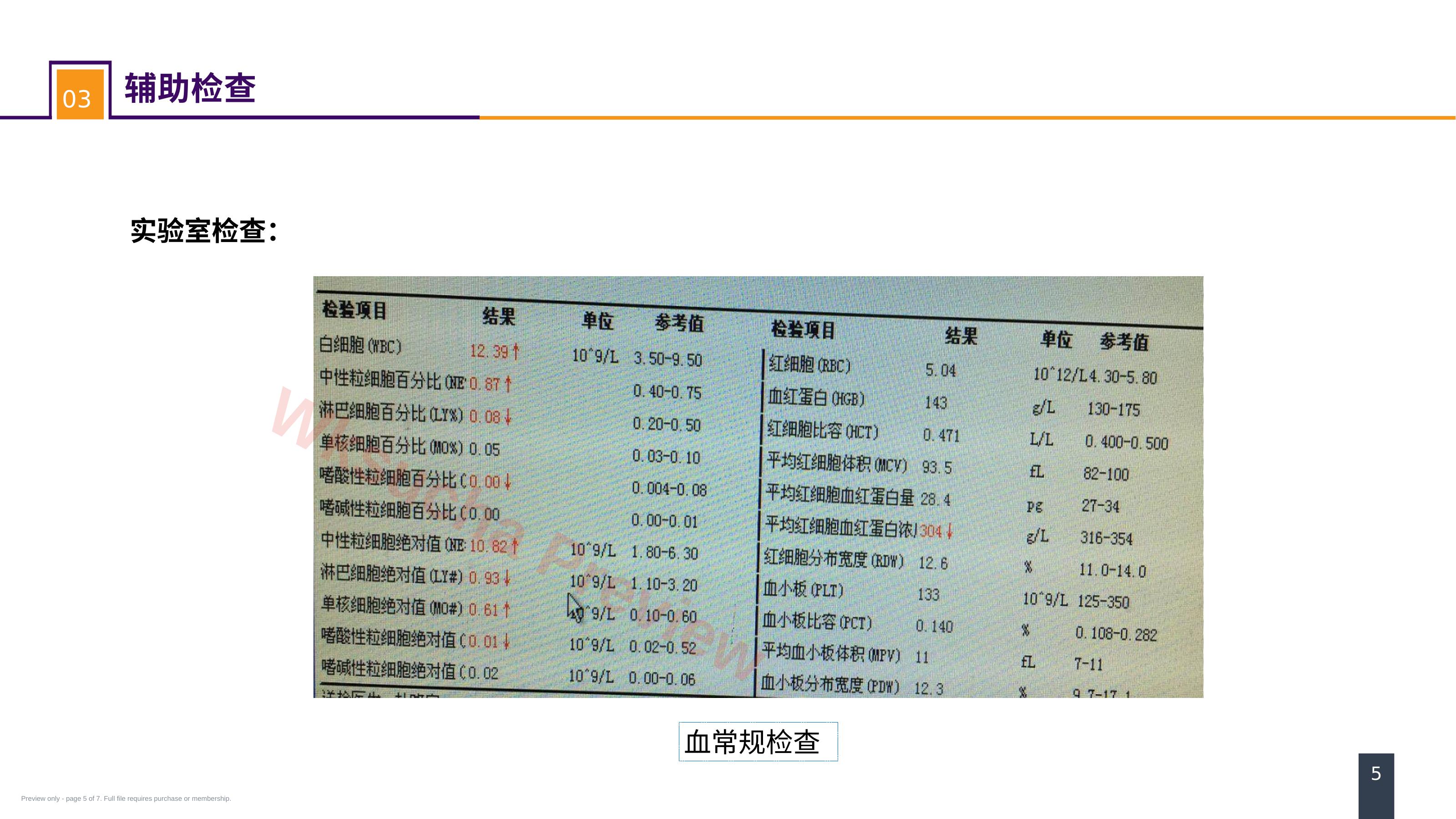 预览第 5 页