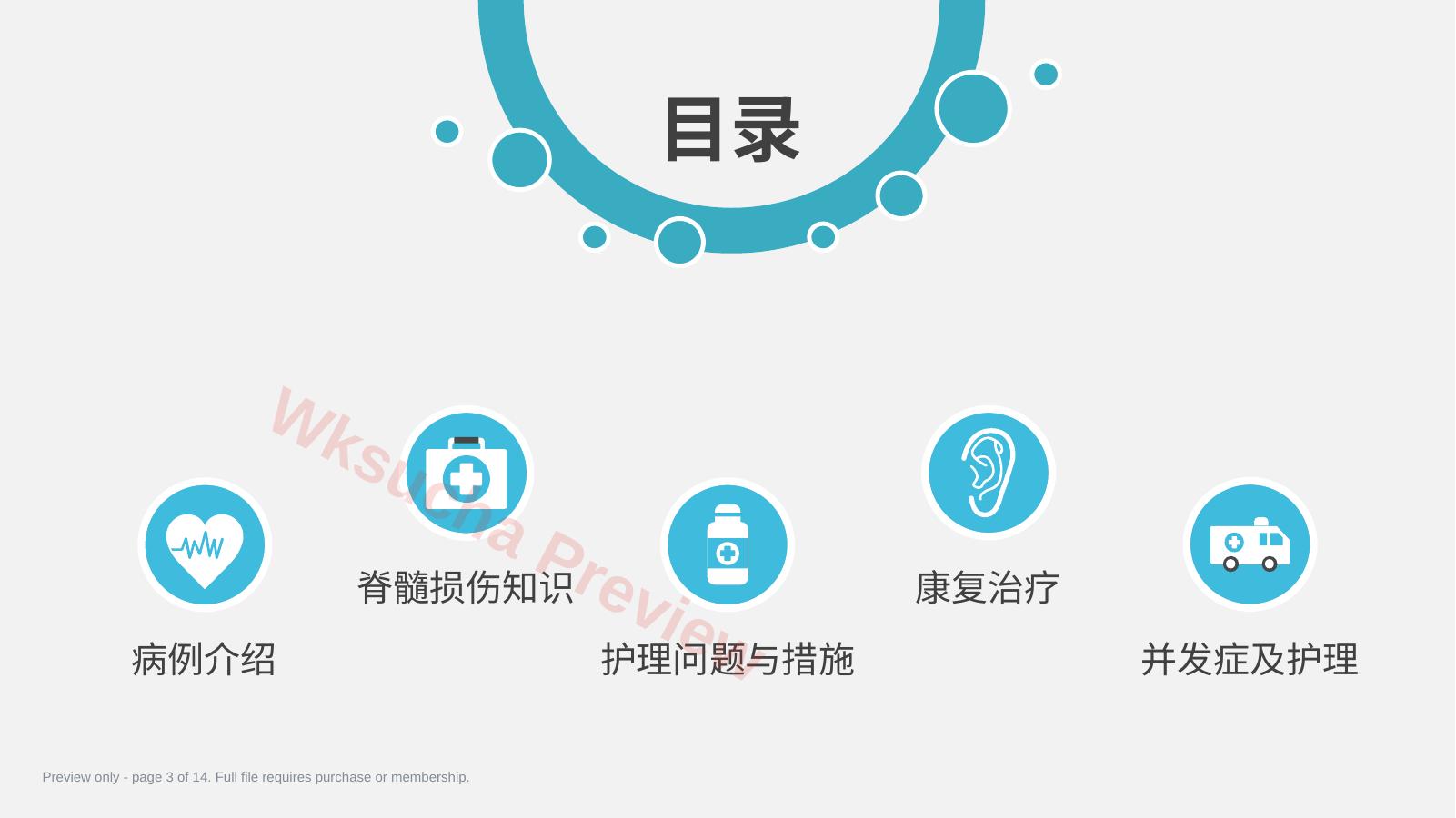 预览第 3 页