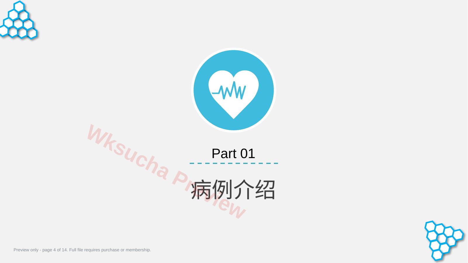 预览第 4 页