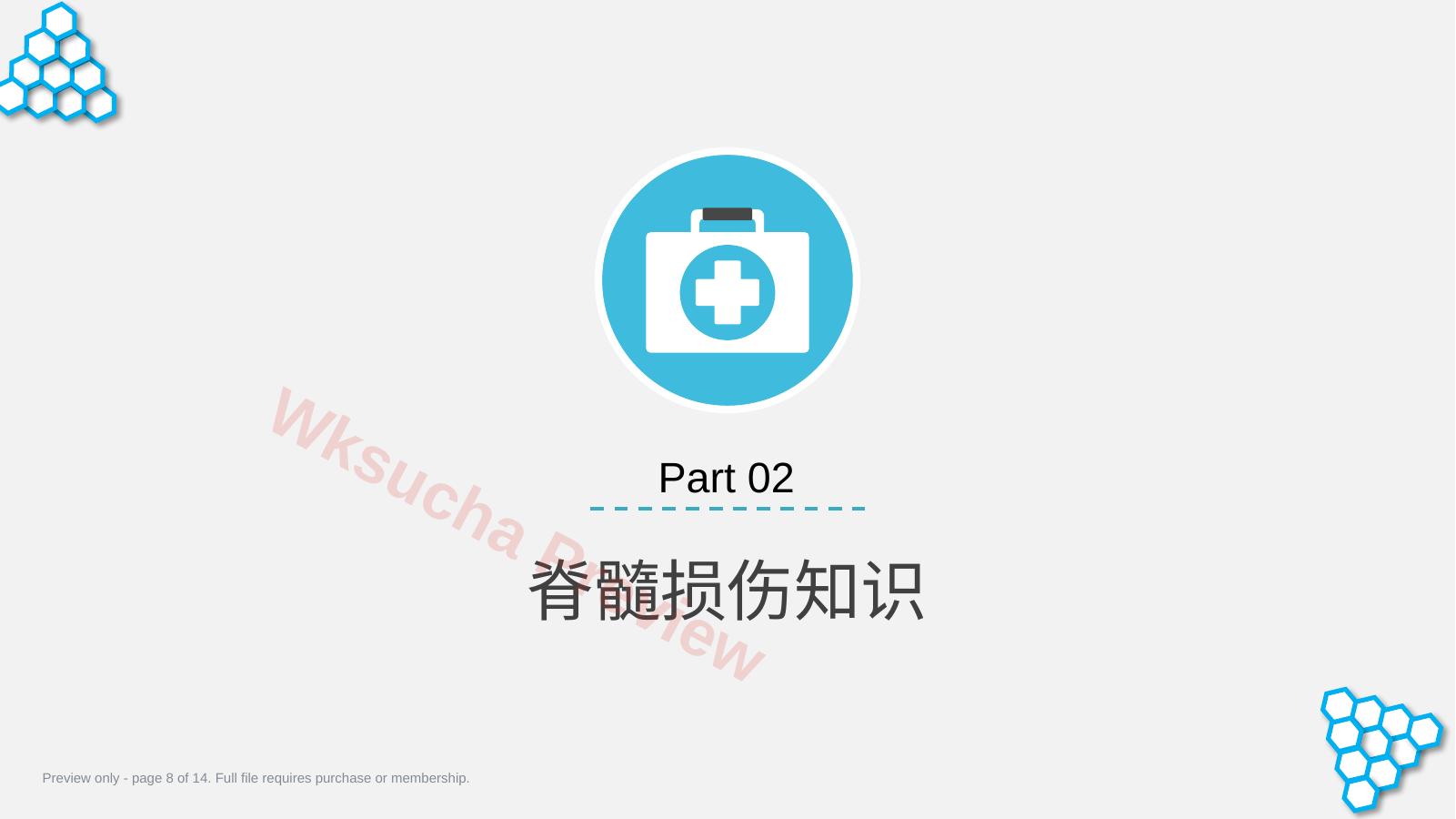 预览第 8 页