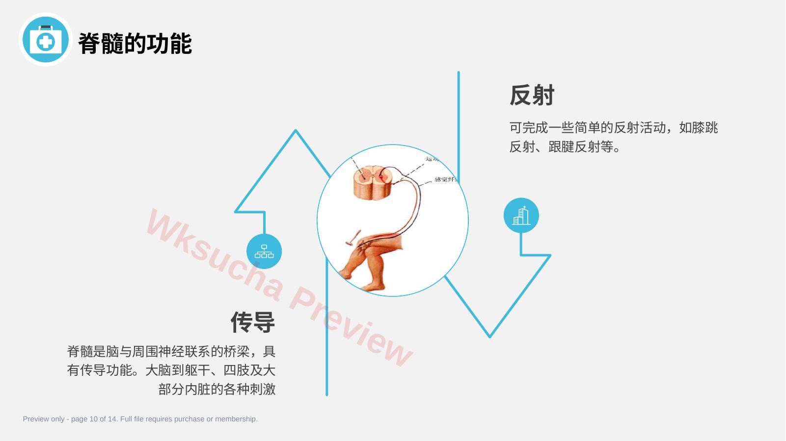 预览第 10 页