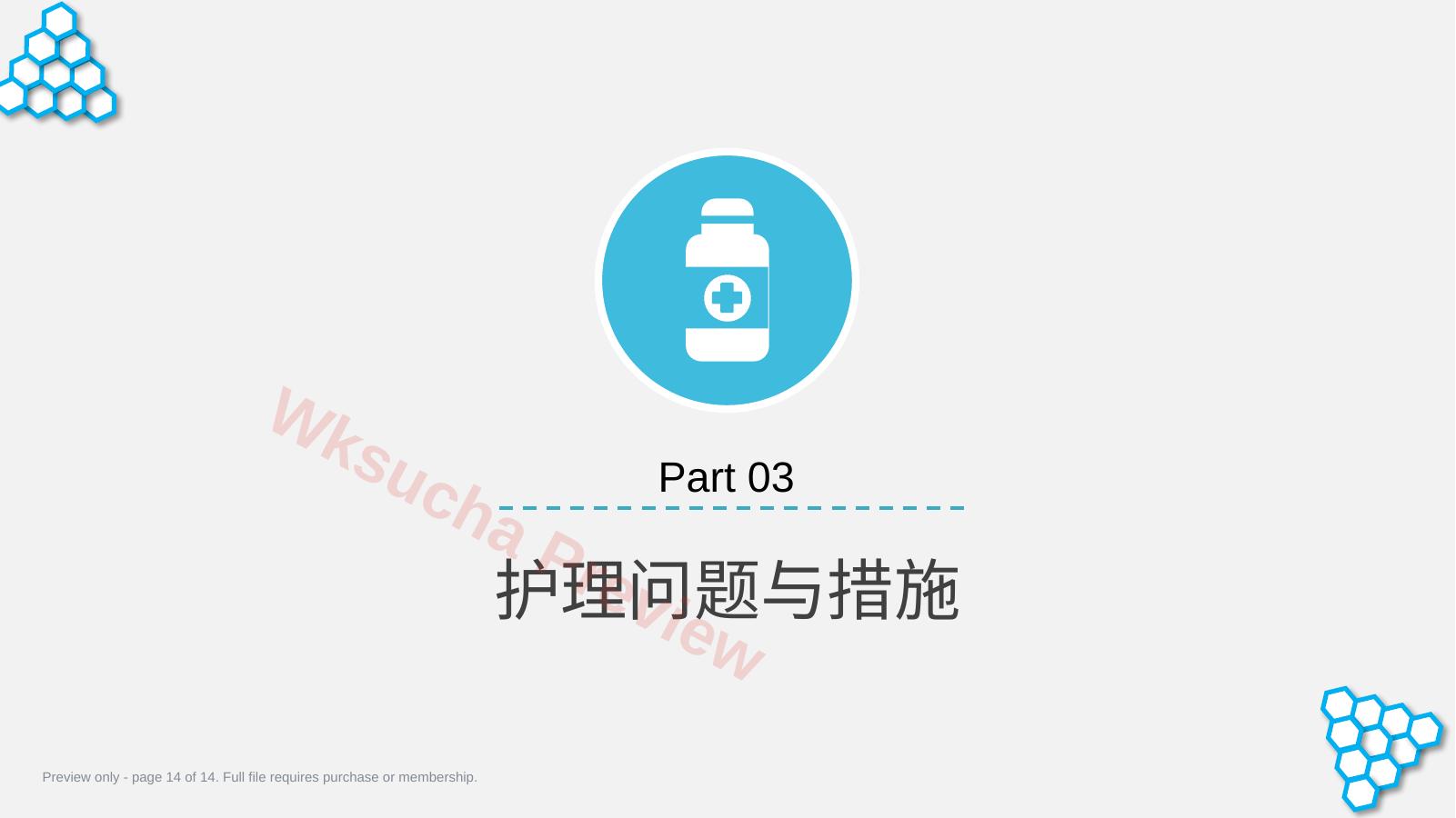 预览第 14 页