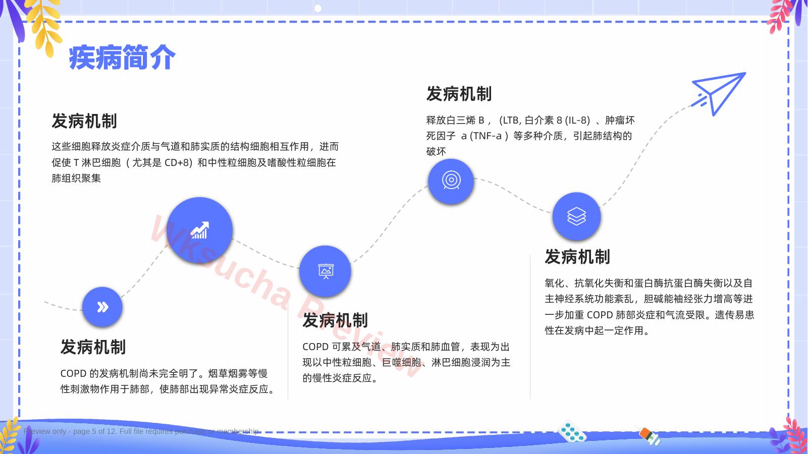 预览第 5 页