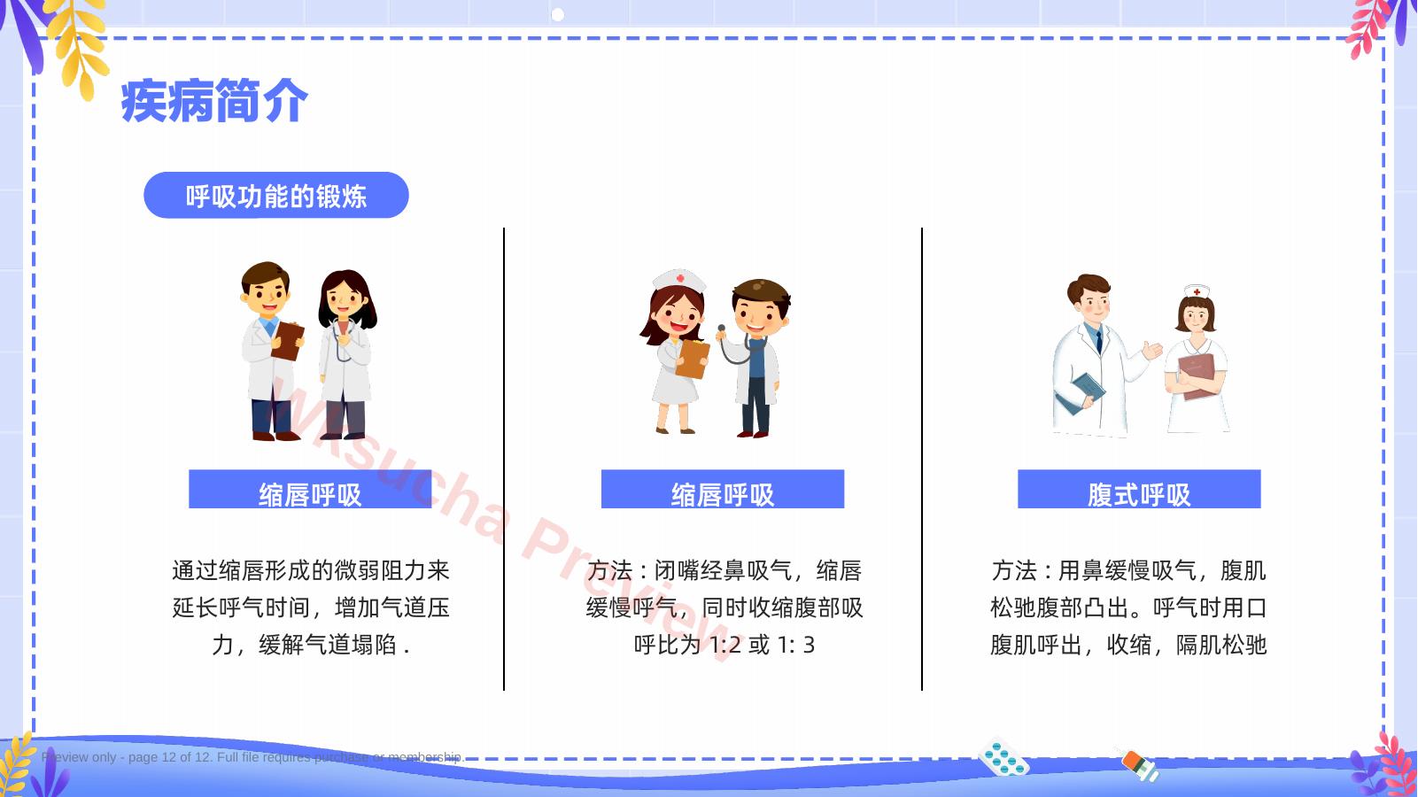 预览第 12 页