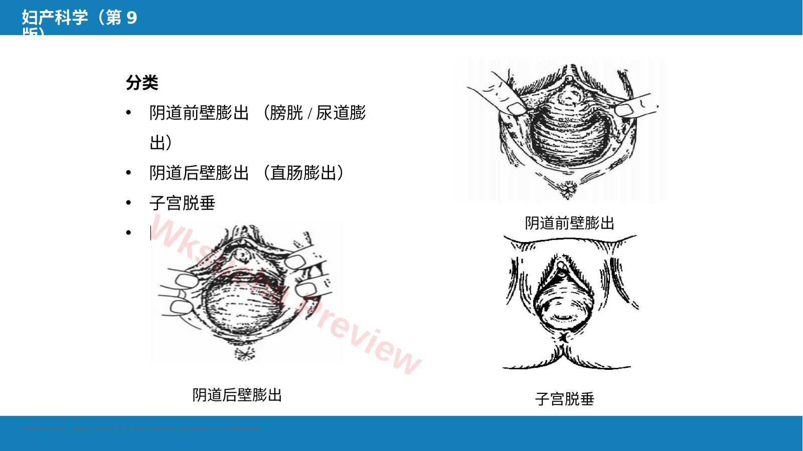 预览第 10 页