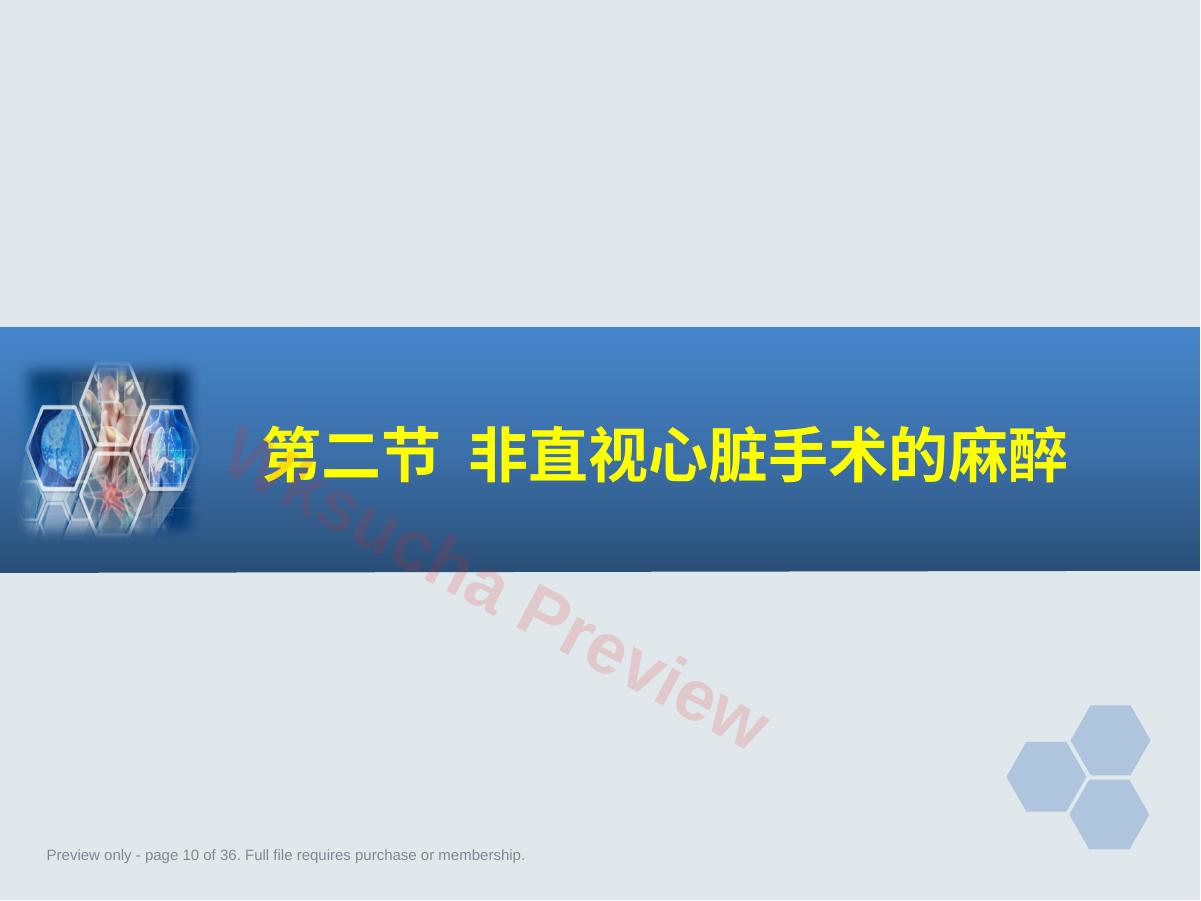 预览第 10 页