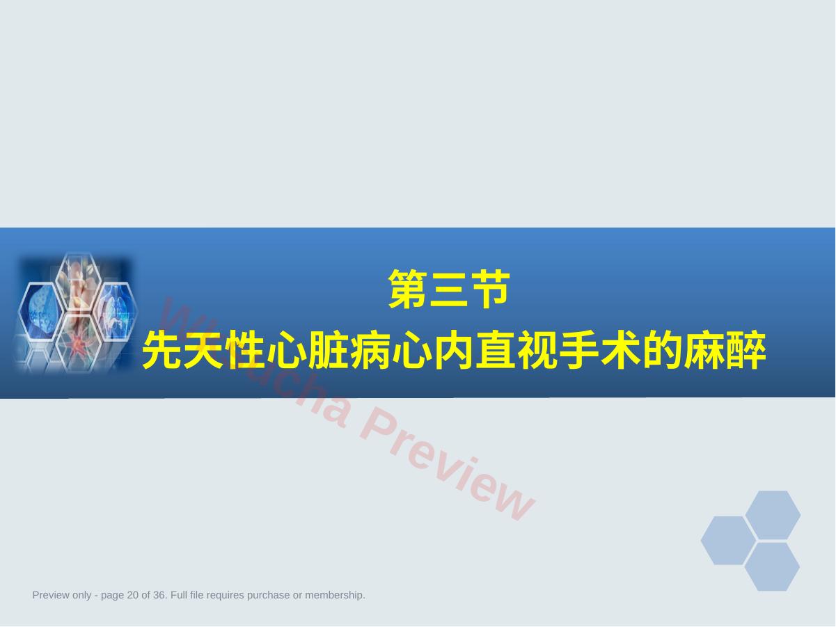 预览第 20 页
