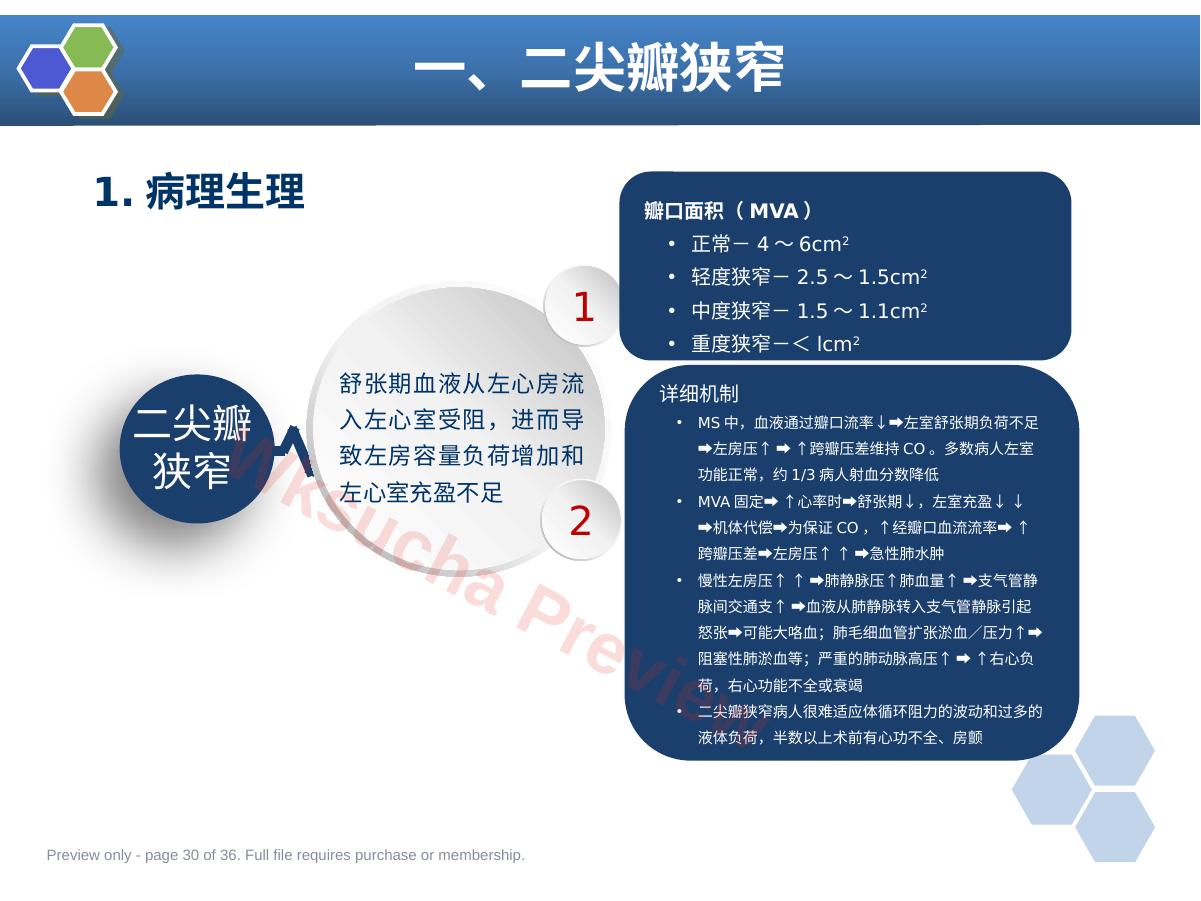预览第 30 页