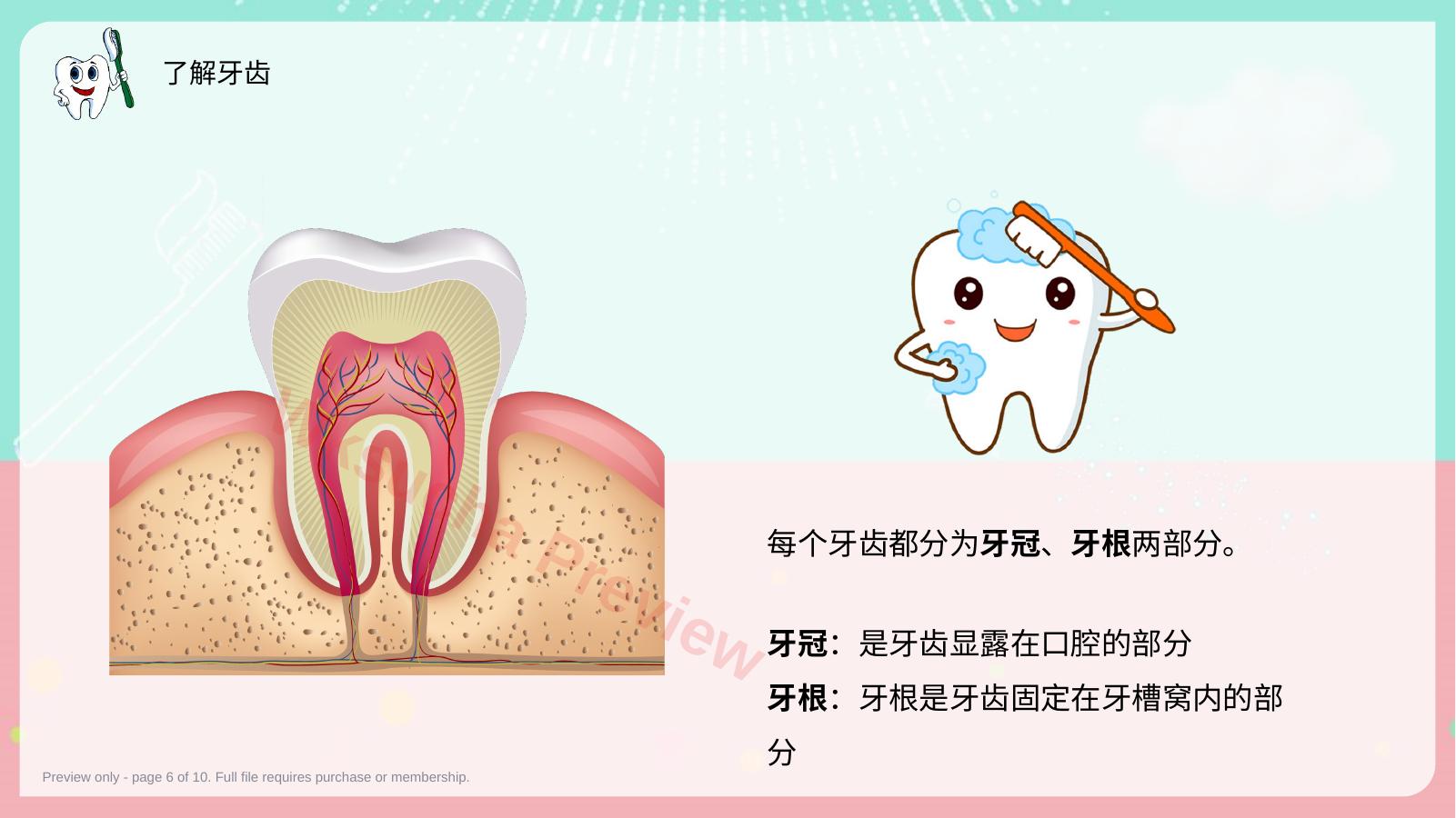 预览第 6 页