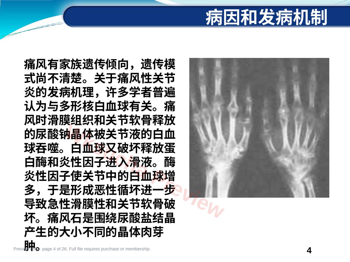 预览第 4 页
