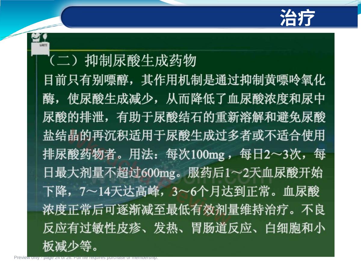 预览第 24 页