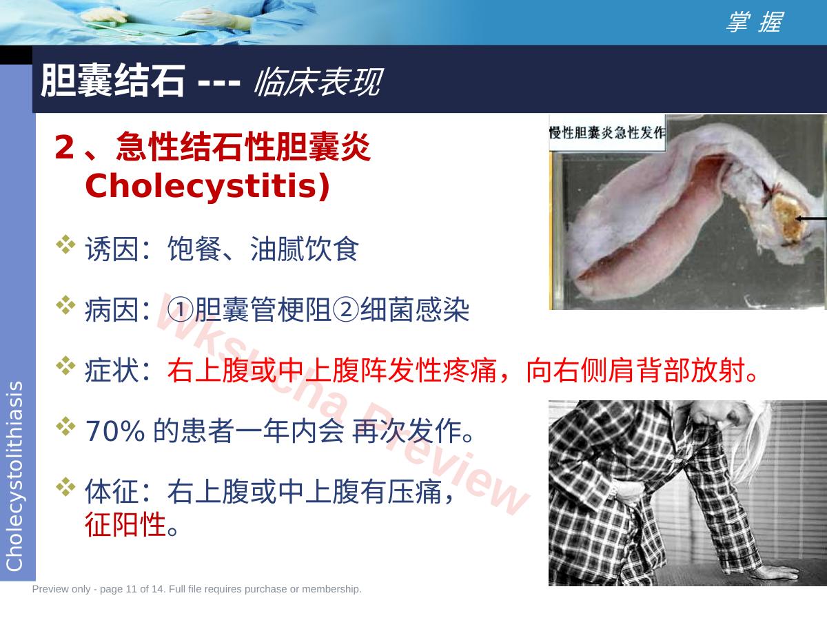 预览第 11 页