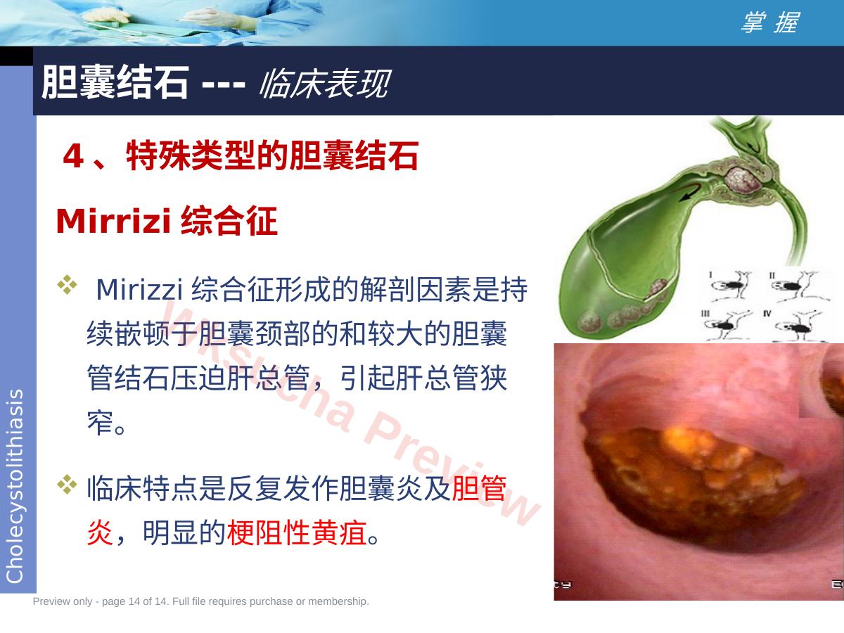 预览第 14 页