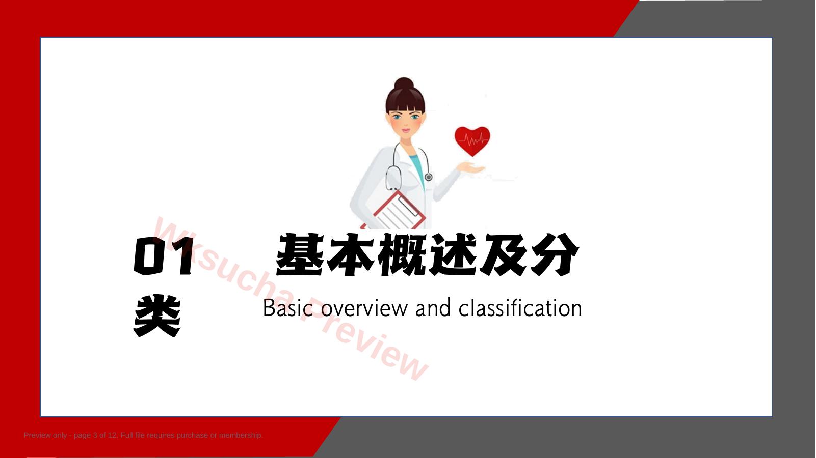 预览第 3 页