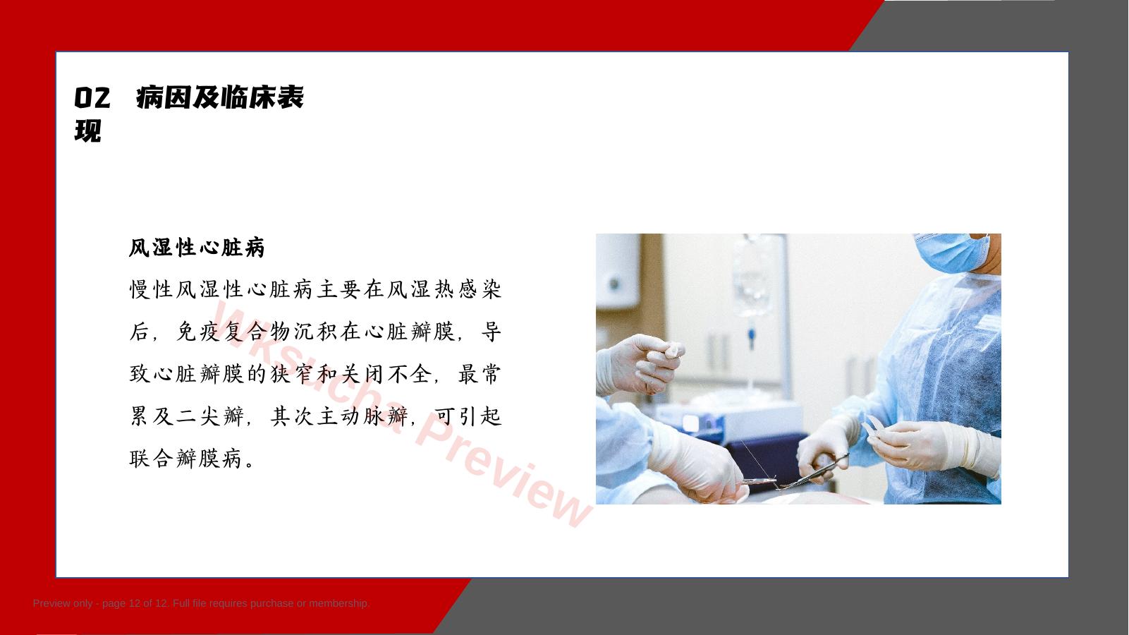 预览第 12 页