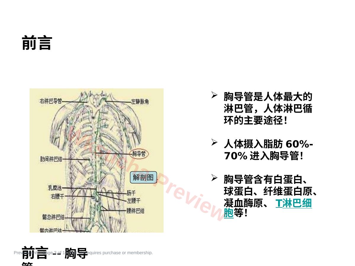 预览第 3 页