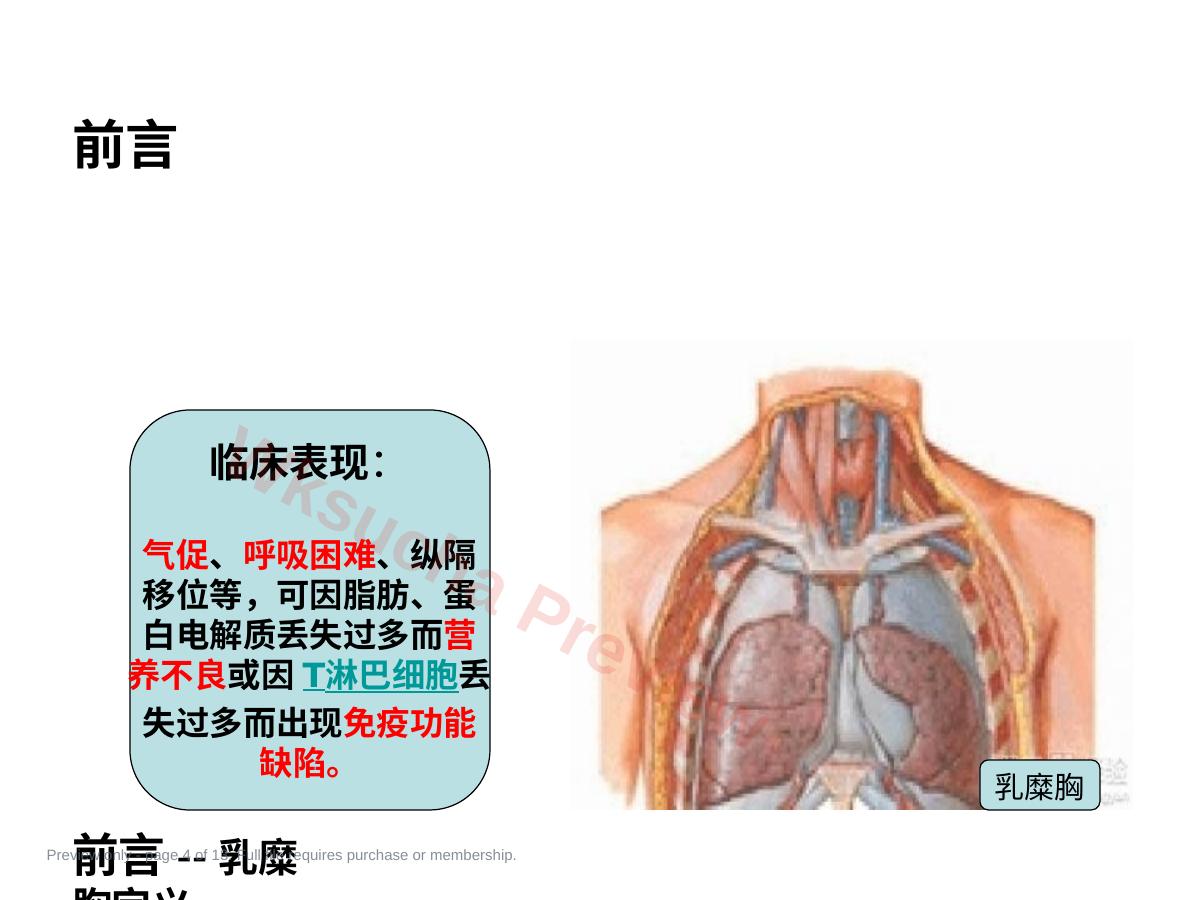预览第 4 页