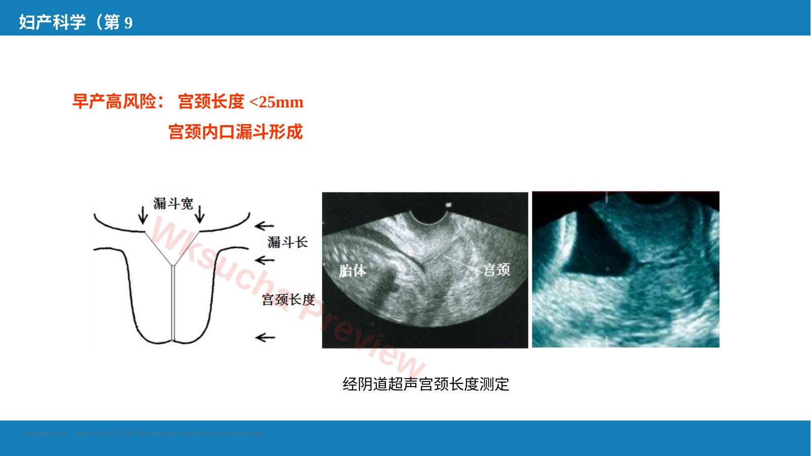 预览第 18 页