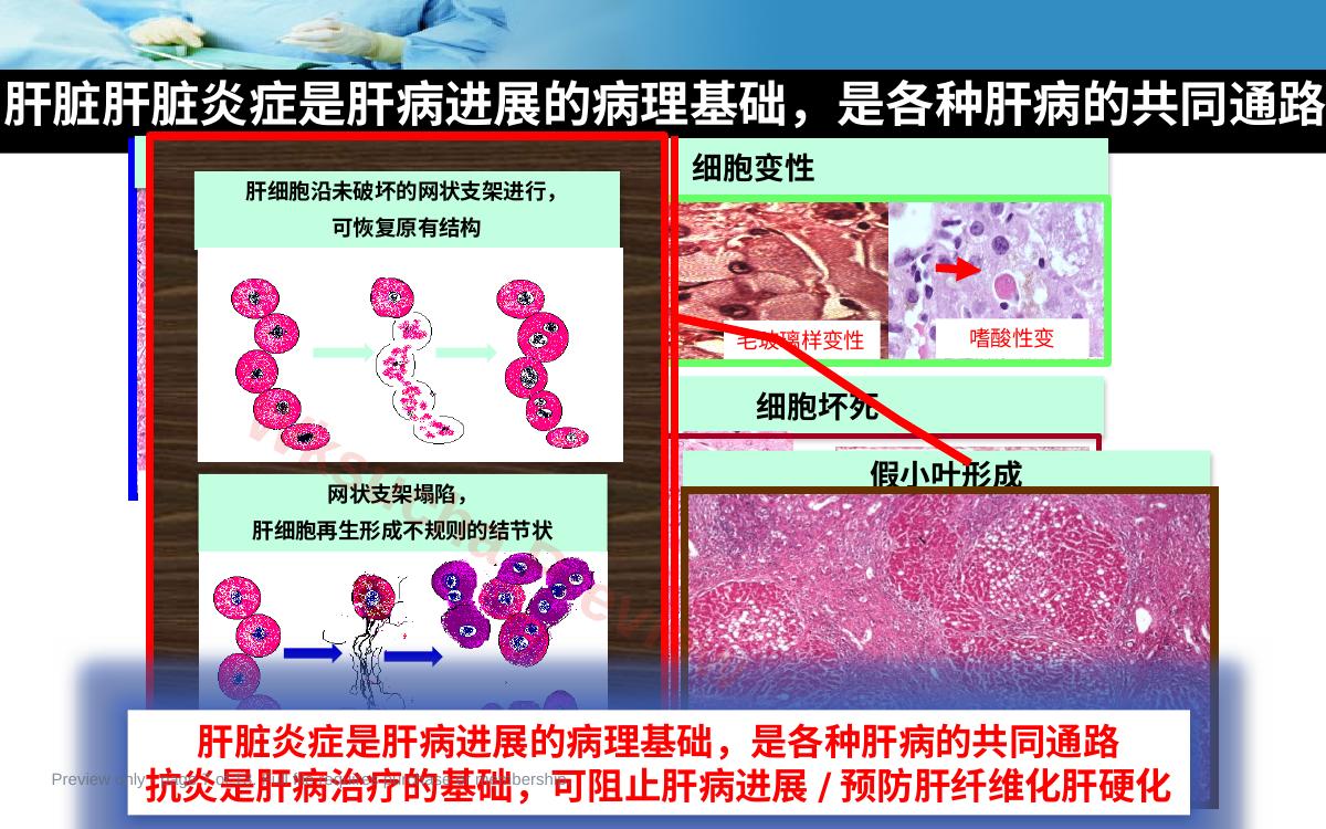 预览第 7 页