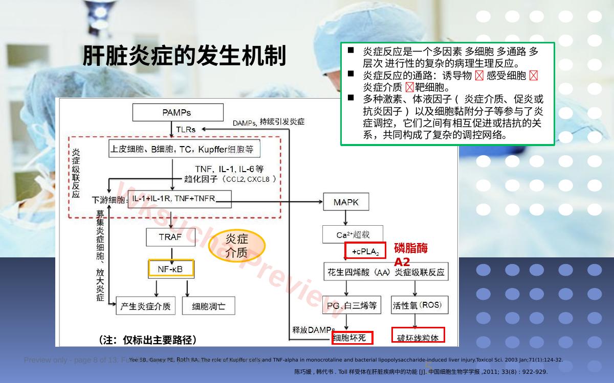 预览第 8 页