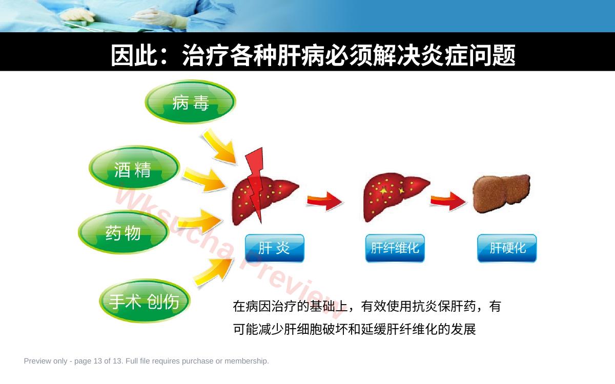 预览第 13 页