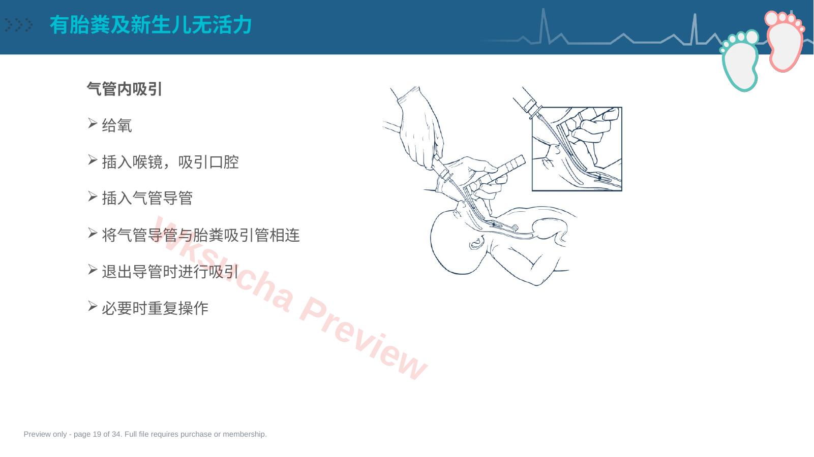 预览第 19 页