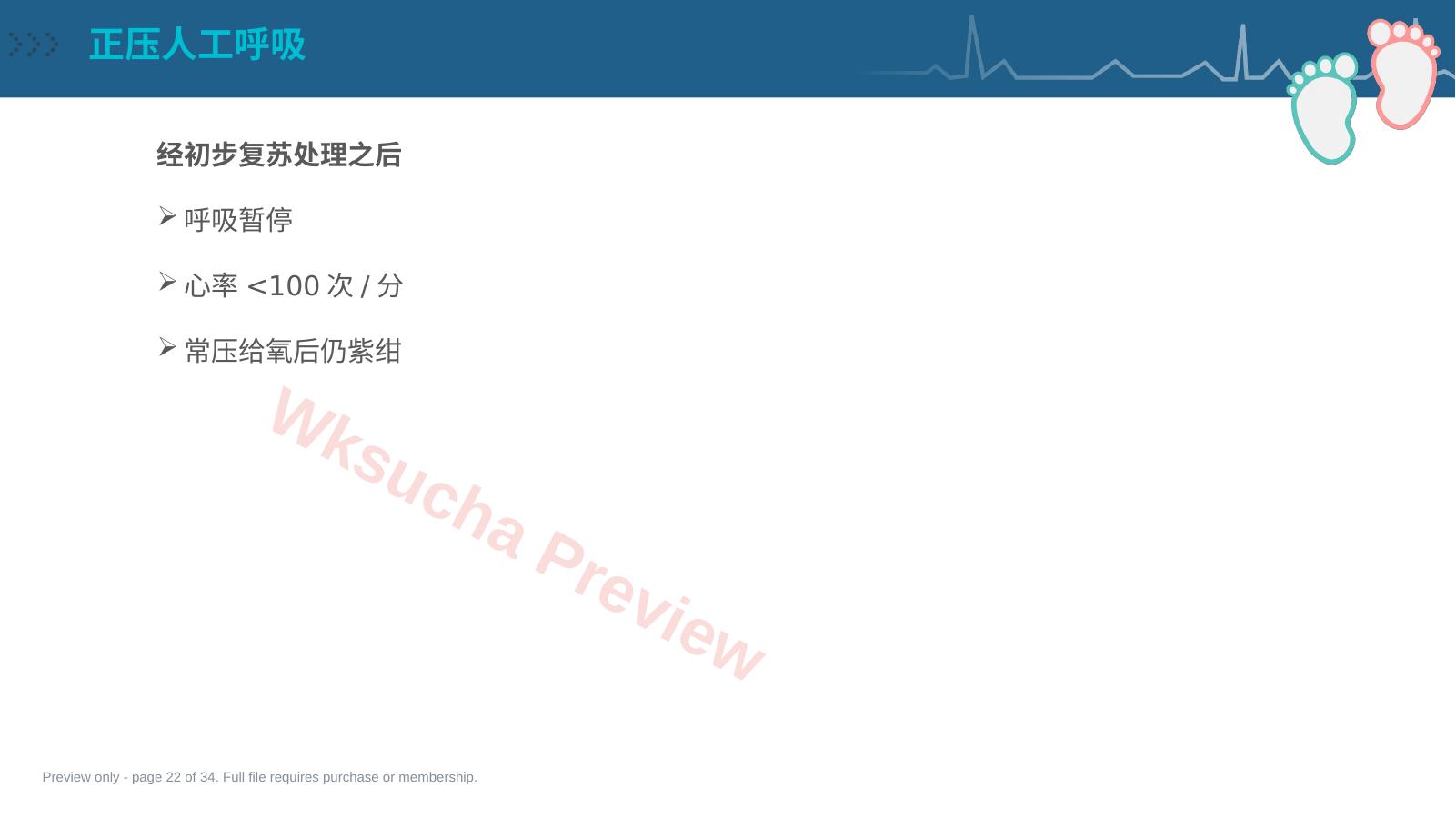 预览第 22 页